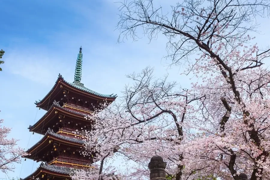 dia-diem-du-lich-tokyo-6-1-1793093137.webp