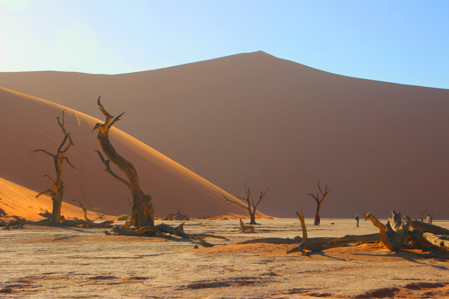 sa-mac-namib-4-1793094770.png