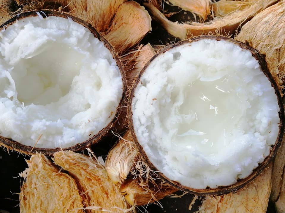 le-hoi-dua-sap-tra-vinh-2-1793203489.jpg
