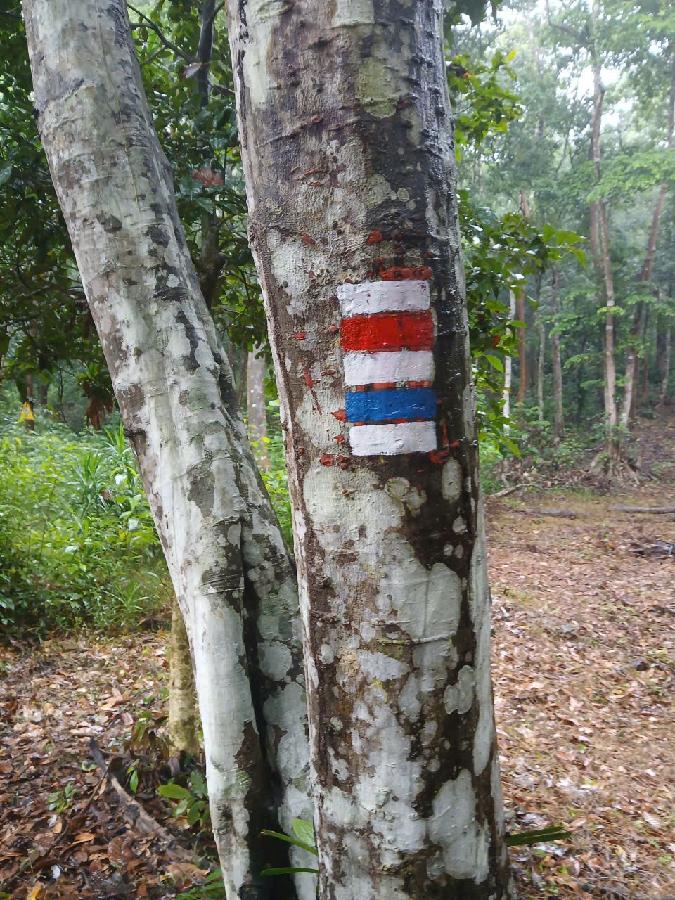 4-1793267737.jpg