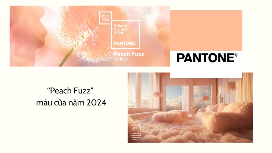 “Màu của năm 2024” nói lên điều gì mà các hãng thời trang lớn theo đuổi