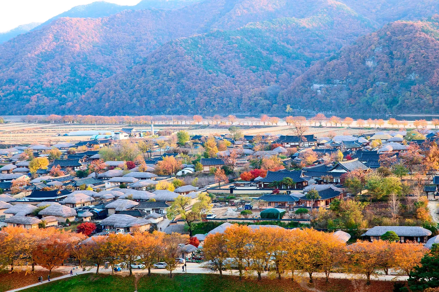 Andong - Hàn Quốc và những nét văn hóa truyền thống ít ai biết