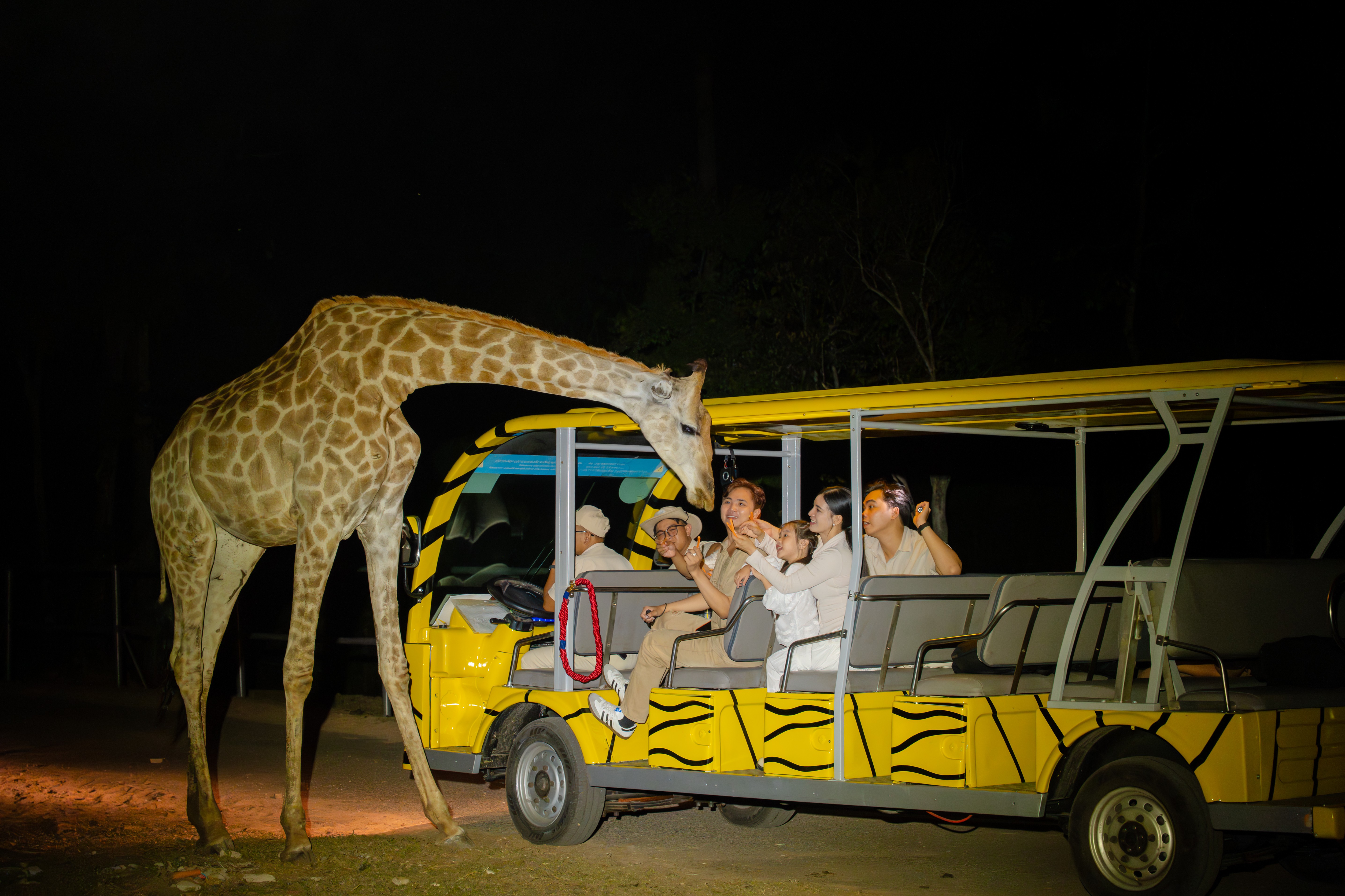 5-phu-quoc-night-safari-1779364138.jpg