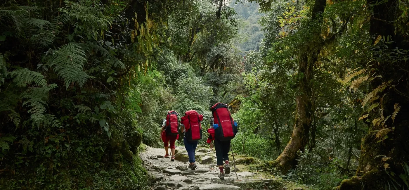 intrepid-travelers-hike-in-a-forest-in-ghorepani-n-1705206319.webp