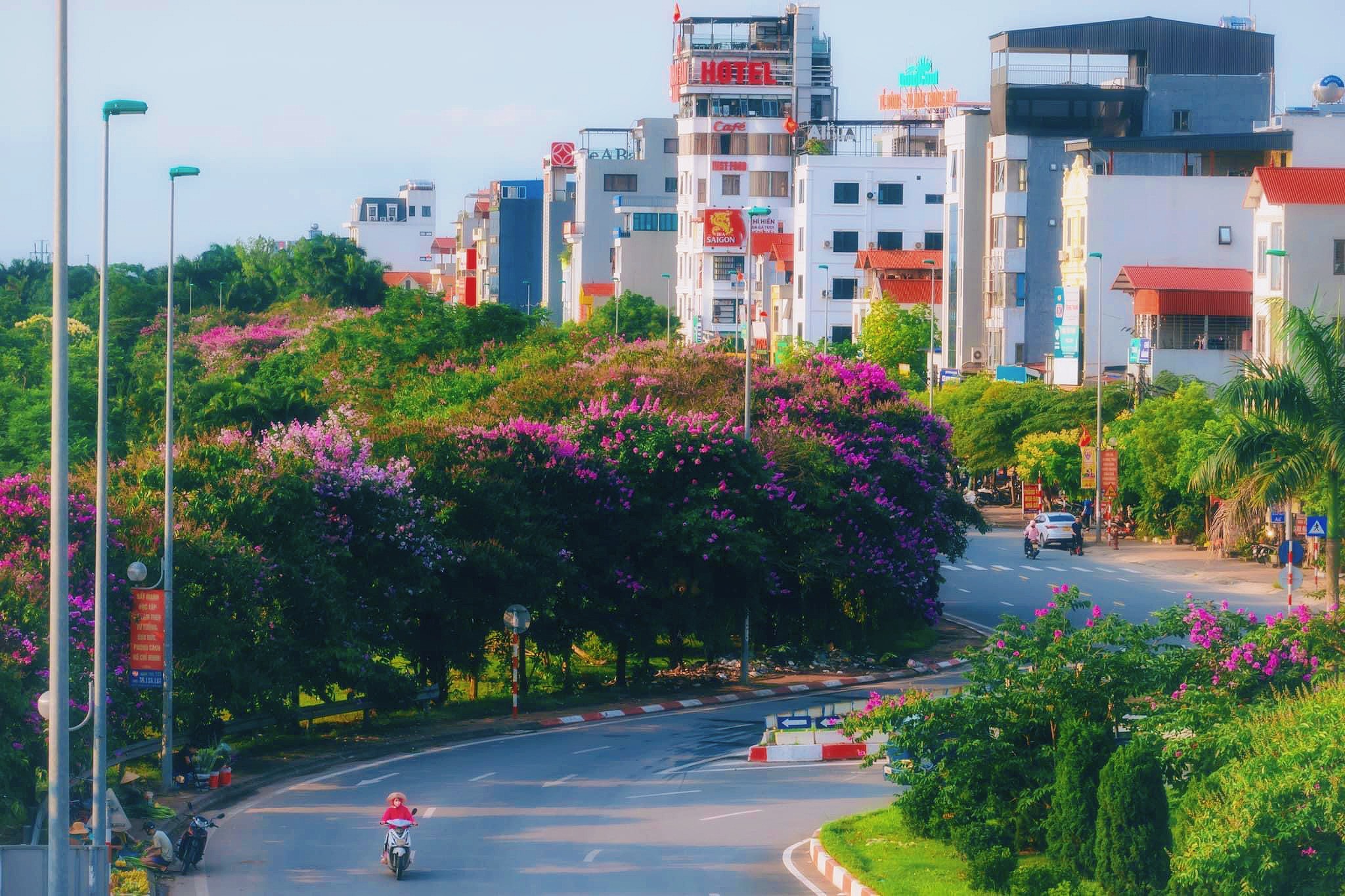 Nhiều con phố thủ đô Hà Nội ngập tràn sắc hoa bằng lăng tím