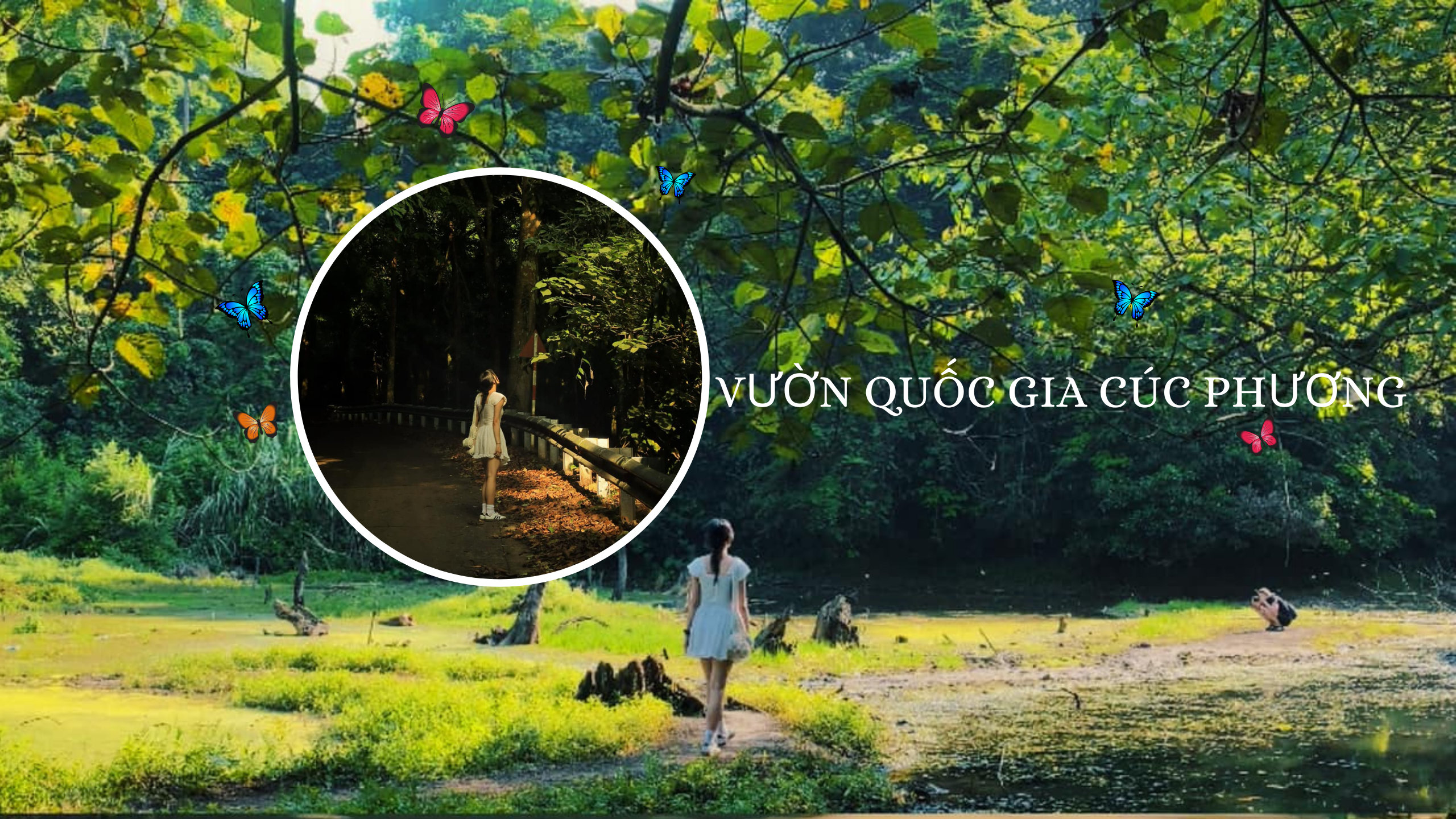 Check-in rừng Cúc Phương mùa bướm đẹp tựa khu vườn cổ tích