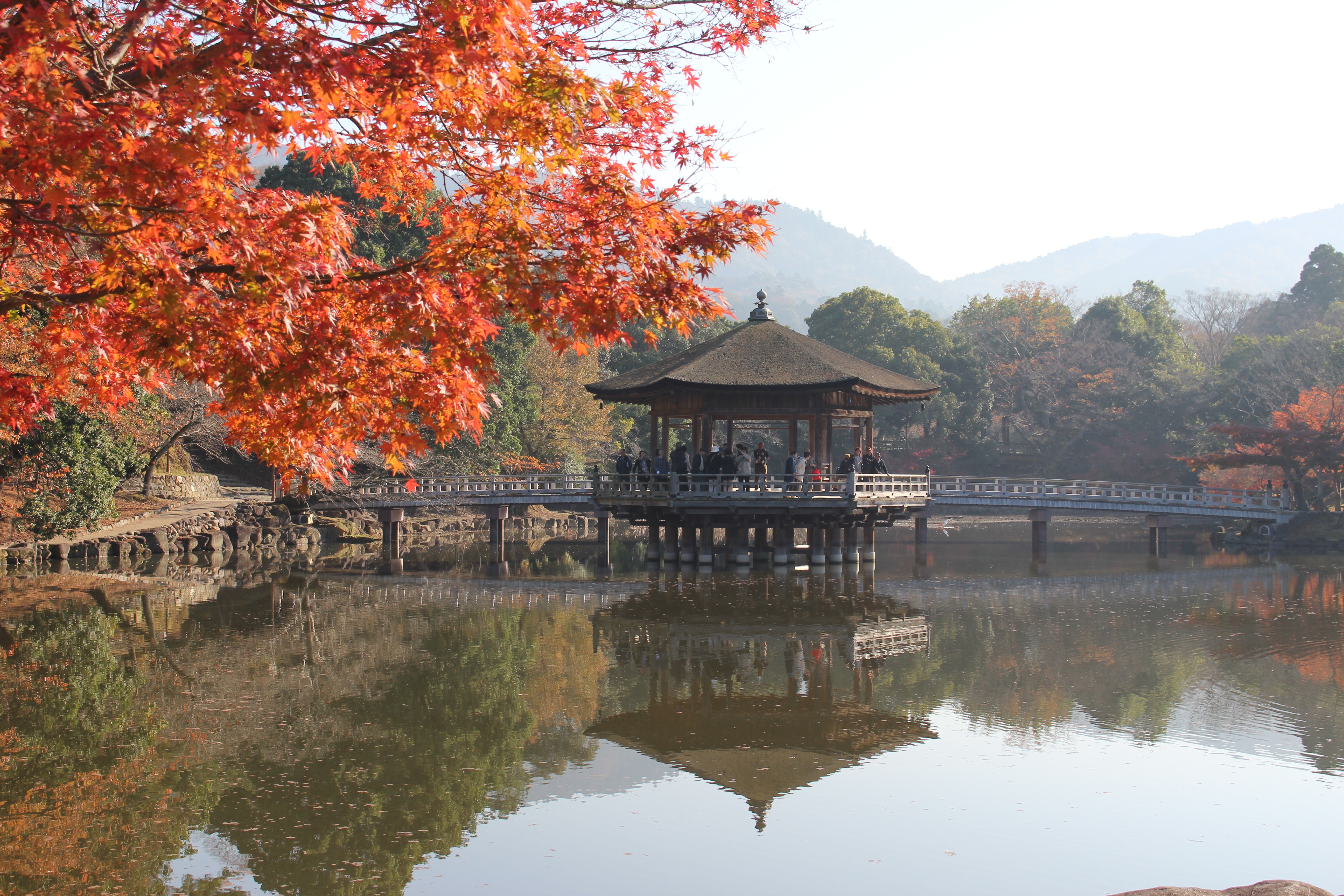 nara-park-vong-lau-ukimido-noi-tren-ho-sagi-1727690547.jpeg