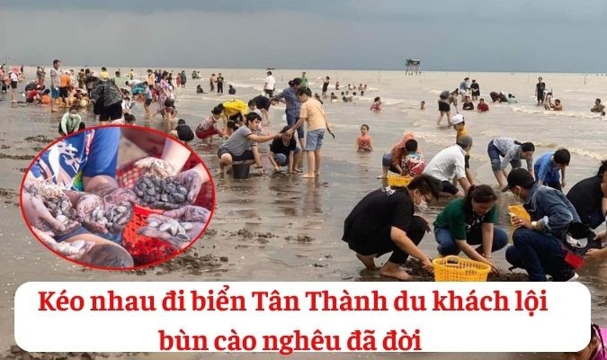 Kéo nhau đi biển Tân Thành, du khách lội bùn cào nghêu đã đời!