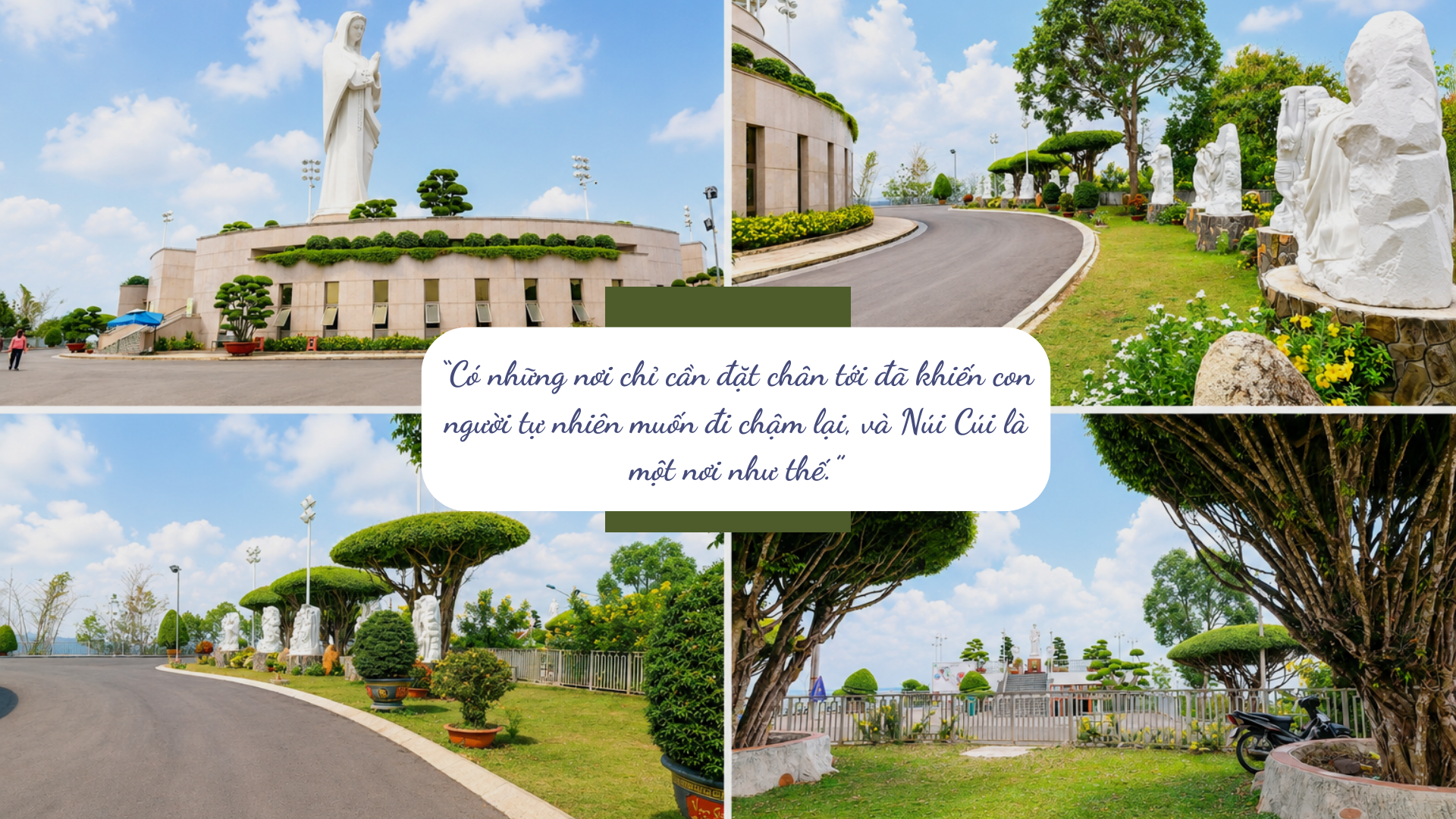 trung-tam-hanh-huong-duc-me-nui-cui-1779255574.png