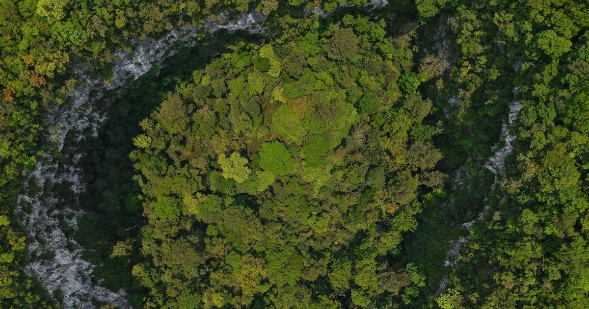 Photo: Tạp chí Du lịch Việt Nam Phát hiện hố sụt sâu 120m, có rừng nguyên sinh ở Phong Nha - Kẻ Bàng