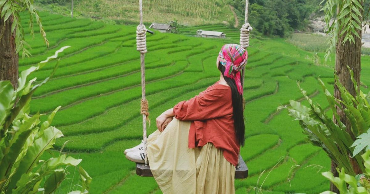 Sa Pa xanh mướt màu lúa mới