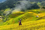 Người Việt tìm kiếm điều gì để có một chuyến đi hạnh phúc?