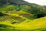 Hành trình khám phá Lao Chải (Lào Cai) bốn mùa quyến rũ