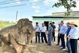 Gia Lai đánh thức di sản để mở rộng bản đồ du lịch