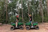 Công viên thám hiểm Kong Forest: Điểm nhấn mới trên hành trình phát triển du lịch xanh của Khánh Hòa