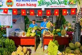 Đông Khánh Sơn gọi mời du khách: Săn mây, thưởng trái ngọt, khám phá văn hóa Raglai