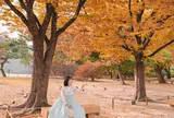 Kinh nghiệm để có chuyến đi chơi hoàn hảo dịp cuối năm