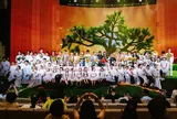 “true Concert 2026 - Tình Đất”: Khi âm nhạc kể câu chuyện thiên nhiên bằng sự tinh tế và cảm xúc