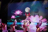 Khám phá Ngày hội Sen Huế 2026 tại Đảo Bồng Lai - Hồ Tịnh Tâm