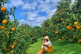 Từ một vụ việc về xuất xứ hàng hóa đến bài toán bảo vệ thương hiệu địa phương