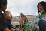 Sau 12 năm, điều gì đã xảy ra với cô bé Tashi trong bộ phim từng gây xúc động toàn cầu?