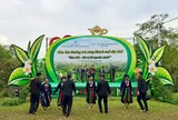 Khe Cốc – Dư vị từ nguồn xanh: Đánh thức tiềm năng du lịch vùng chè Vô Tranh