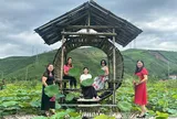 Quảng Ninh: Nhiều cơ sở dịch vụ Du lịch để lại ấn tượng và lưu luyến cho du khách