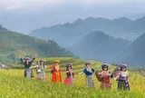 Hè 2025: Du lịch nội địa "nóng" lên từng ngày nhờ kích cầu và điểm đến mới nổi