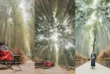 Du Lịch Nhật Bản: Trải nghiệm hoàng gia với dịch vụ xe kéo Arashiyama 5 sao khiến khách hàng 'mê mẩn'