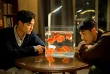 Ca sĩ Quang Vinh nói gì khi khán giả nhận xét MV mới mang màu sắc boy love?