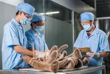 Nhung Việt – Giá trị từ cam kết