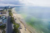 Loạt doanh nghiệp dịch vụ du lịch, bất động sản nợ thuế lên đến hàng nghìn tỷ đồng