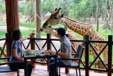 Du khách đổ xô về Bắc đảo Phú Quốc để trải nghiệm các trò chơi độc lạ