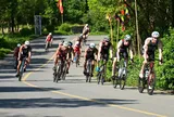 Những giải đấu được mong chờ tại Sports Festival 2026