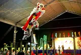 Đã mắt với những màn trình diễn tại giải Lân Sư Rồng TP. Thủ Đức