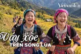 Lễ hội “Sắc chàm Lao Chải” 2026: Duyên dáng sắc váy Mông trên cung đường chạy giữa mùa lúa
