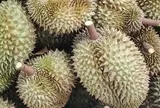 Ngân hàng Nhà Nước mở gói tín dụng ưu đãi cho doanh nghiệp