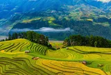Khung cảnh thiên nhiên mùa vàng đẹp như mơ tại đồi Móng Ngựa, Mù Cang Chải