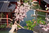 Xu hướng du lịch chữa lành, hòa mình vào thiên nhiên tại Đà Nẵng