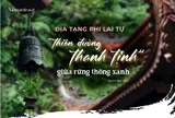 Địa Tạng Phi Lai Tự - “thiên đường thanh tịnh” giữa rừng thông xanh