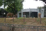 Dự án “ZOO HÍ”: Làm mới hình ảnh Vườn thú Hà Nội từ góc nhìn người trẻ