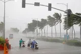 Bộ Văn hóa, Thể thao và Du lịch yêu cầu tăng cường bảo đảm an toàn trong hoạt động du lịch mùa mưa bão