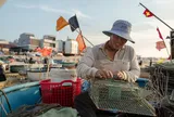 Vì sao Eo Gió - Nhơn Lý đang trở thành biểu tượng của Quy Nhơn?