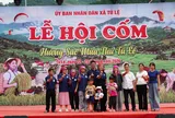 Lễ hội Cốm Tú Lệ đưa sản vật địa phương đến gần với du khách