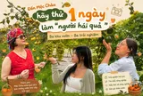Đến Mộc Châu hãy thử một ngày làm “người hái quả”