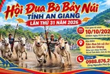 Sôi nổi Hội Đua bò Bảy Núi tỉnh An Giang lần thứ 31 năm 2026