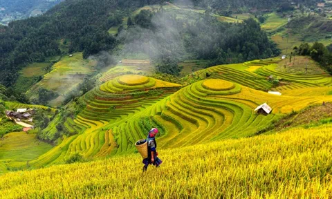 Người Việt tìm kiếm điều gì để có một chuyến đi hạnh phúc?