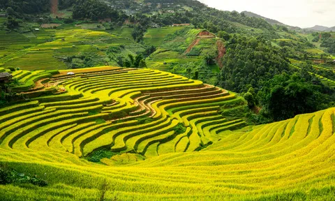 Hành trình khám phá Lao Chải (Lào Cai) bốn mùa quyến rũ