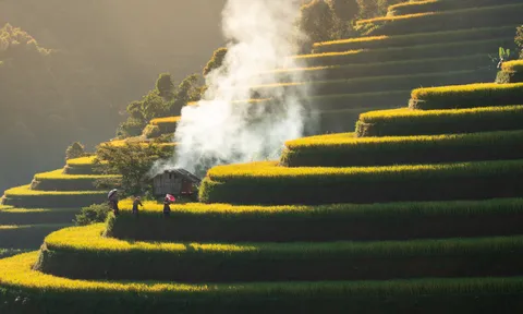 Mùa vàng Lao Chải: Vẻ đẹp kết tinh từ thiên nhiên và văn hóa
