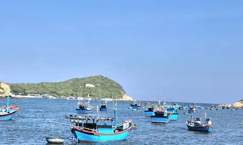 VĨNH HY – KHÁM PHÁ VẺ ĐẸP HOANG SƠ QUA ẨM THỰC, TRẢI NGHIỆM VÀ NGHỈ DƯỠNG